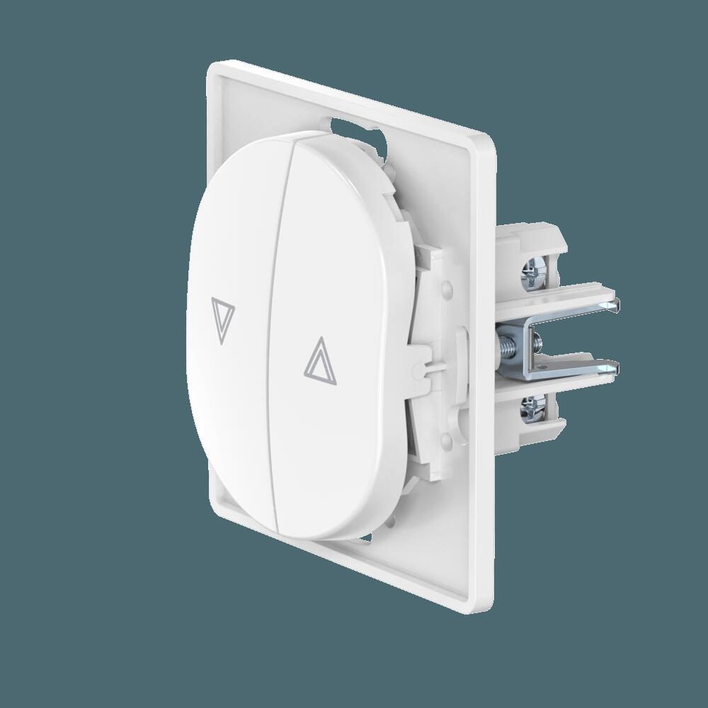 Выключатель скрытой установки CADUCEUS ALING EON, кнопочный, для рольставней, 10А, 250В~, механизм