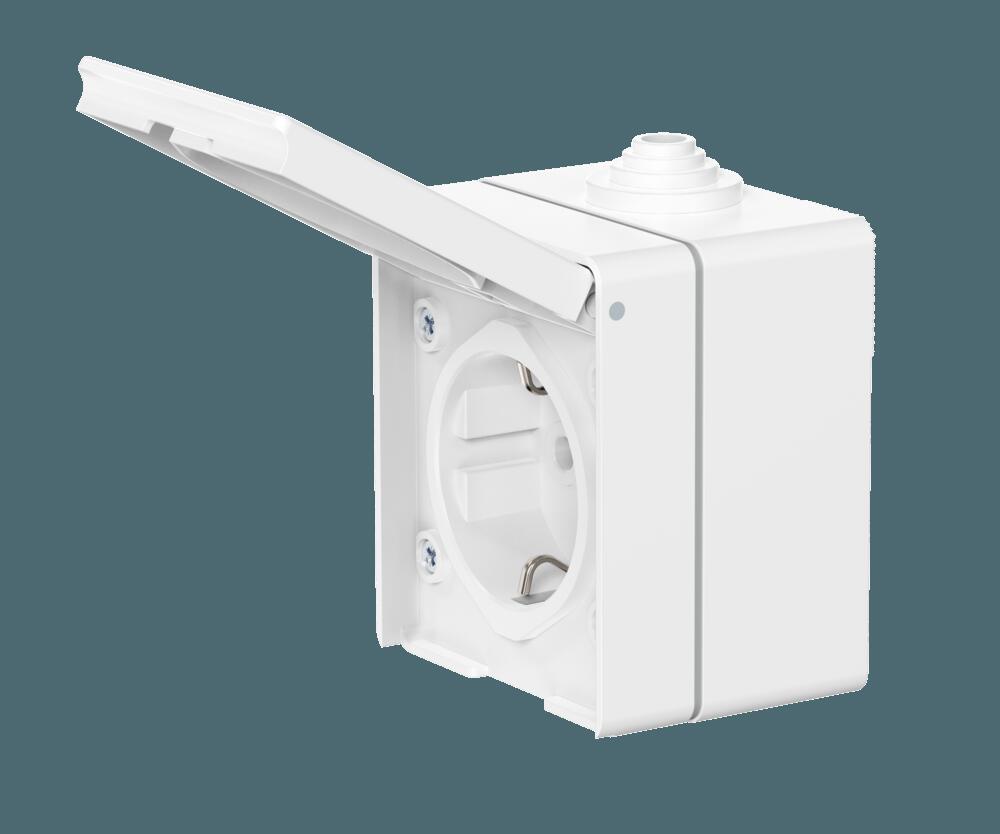 Розетка электрическая CADUCEUS ALING OG для открытой проводки, без шторок, с крышкой, 16А, 250В~