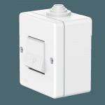 Выключатель одноклавишный CADUCEUS ALING OG для открытой проводки, с символом "Свет", 10А, 250В~