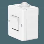 Выключатель одноклавишный CADUCEUS ALING OG для открытой проводки, 10А, 250В~