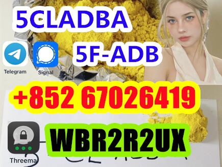 5cladba raw material 5CL - ADB - A precursor raw