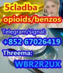 119276-01-6 Protonitazene hydrochloride