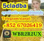 5cladba precursor raw 5cl-adb-a raw material