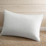 High Quality 100% Cotton Standard Queen and King Size Down Proof Pillow Shell With Piping