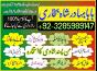 najoomi specialist amil baba in uk amil baba in karachi amil