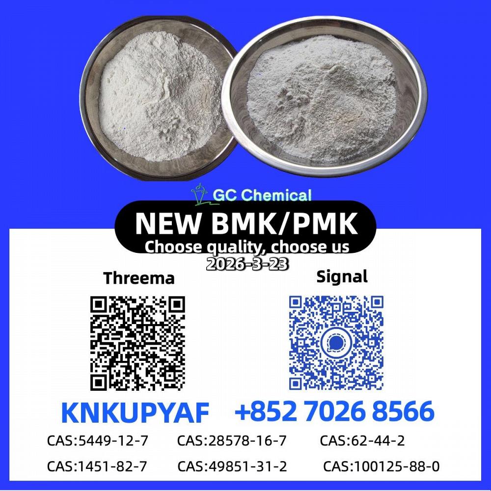 Immediate Shipment 28578-16-7 P.M.K CAS 5449-12-7 New B.M.K