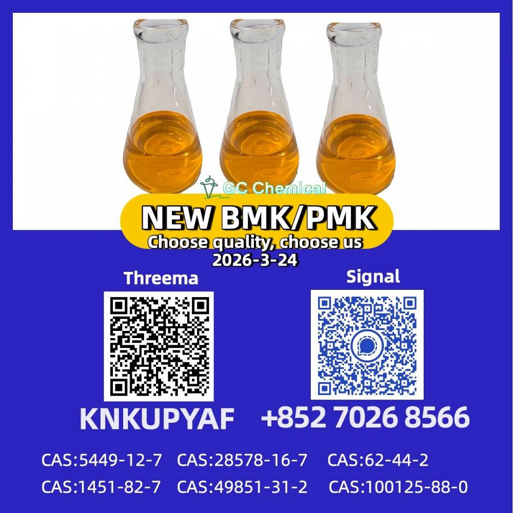 CAS 28578-16-7 New P.MK/ B.M.K Powder CAS 5449-12-7 | High Quality