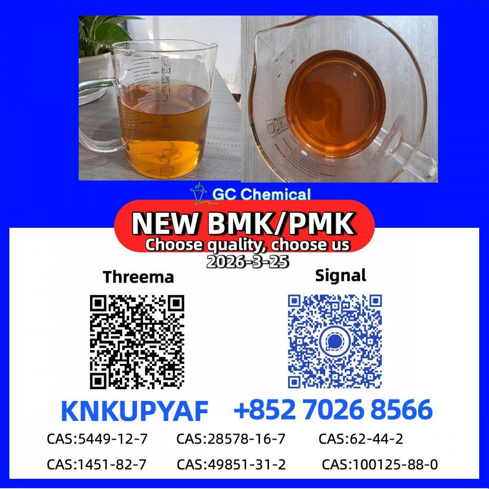 PM.K 28578-16-7 BM.K 5449-12-7 Lab Grade with COA & MSDS