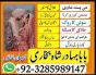 No1 Amil Baba Pakistan,Kala ilam Expert Karachi,best amil baba larkana
