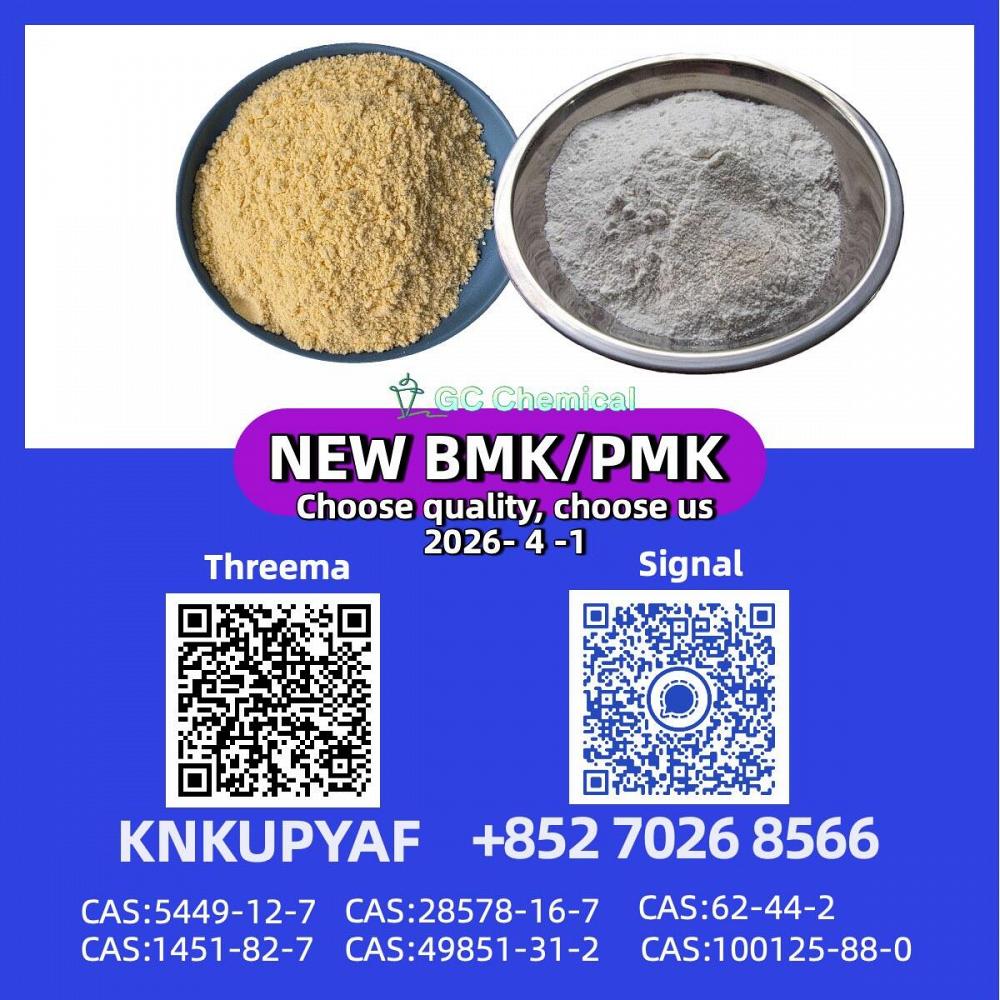 PM.K CAS 28578-16-7 Direct Export | Stable Quality & Reliable Shipping