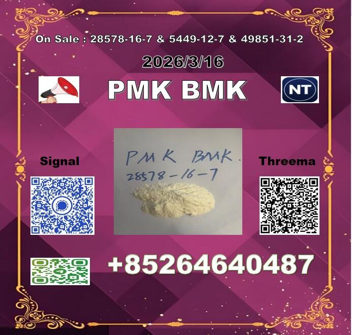 Feedstocks P-MK 28578-16-7 1369021-80-6 B-MK 5449-12-7 Chat dit à son maître :