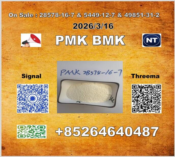 Raw Materials P-MK 28578-16-7 1369021-80-6 & B-MK 5449-12-7 Le Chat dit à l'Ogre : «