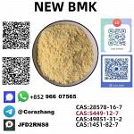 CAS 5449-12-7 BMK Glycidic Acid (sodium salt) with high purity