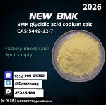 CAS5449-12-7 BMK Glycidic Acid (sodium salt) with high purity