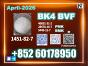 CAS 1451-82-7 bk4 Fast Custom Clearance