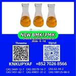 PM.K CAS 28578-16-7 with BM.K CAS 5449-12-7