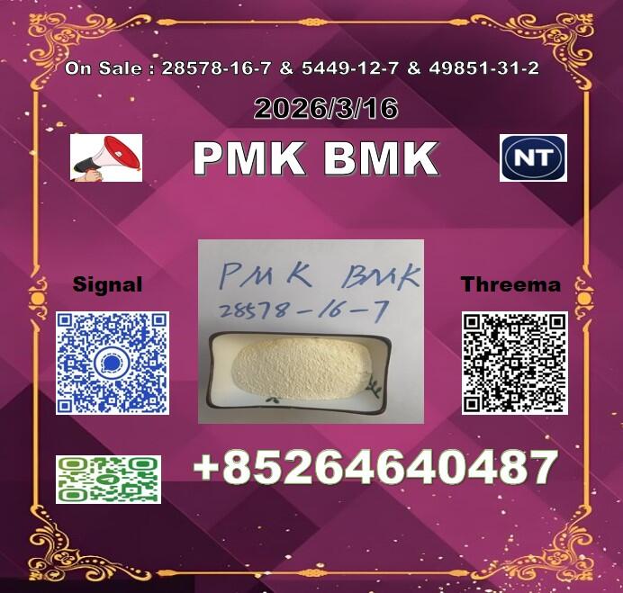 Best quality P.MK 28578-16-7 and B.MK 5449-12-7 LOW PRICE