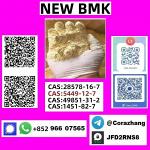 cas 5449-12-7 BMK Glycidic Acid (sodium salt) with high purity