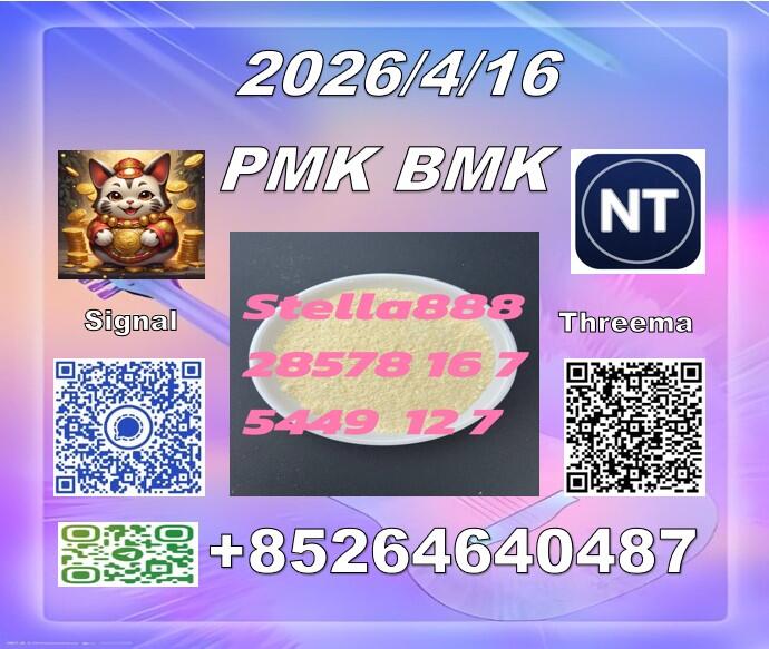 Good quality PM.K 28578-16-7 and BM.K 5449-12-7