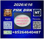 New P M K 28578-16-7 and B M K 5449-12-7/ 49851-31-2