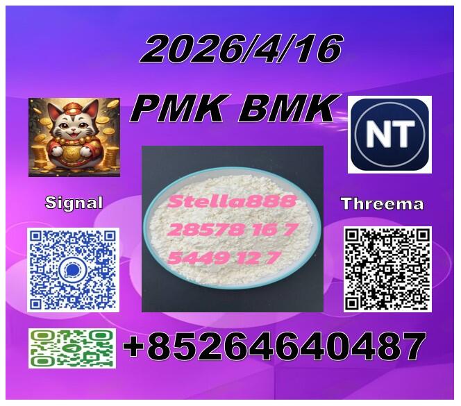 top grade P.MK 28578-16-7 and B.MK 5449-12-7/49851-31-2