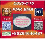 1369021-80-6 New 28578-16-7 PMK BM-K 5449-12-7