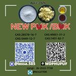 5449-12-7New B.M.K 28578-16-7,New P.M.K 1451-82-7, 49851-31-2,