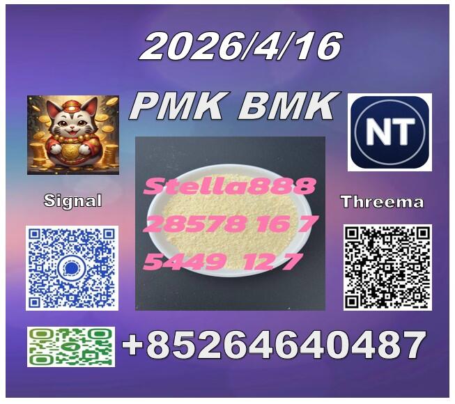 Long-term supply CAS 5449-12-7 BM.K 28578-16-7 PM.K