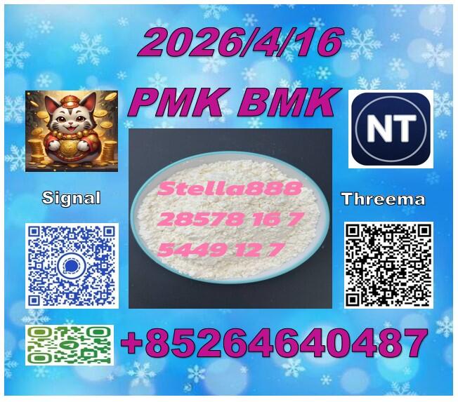 New iterms in stock CAS 5449-12-7 BM.K 28578-16-7 PM.K