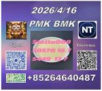 Long-term supply CAS 5449-12-7 BM.K 28578-16-7 PM.K