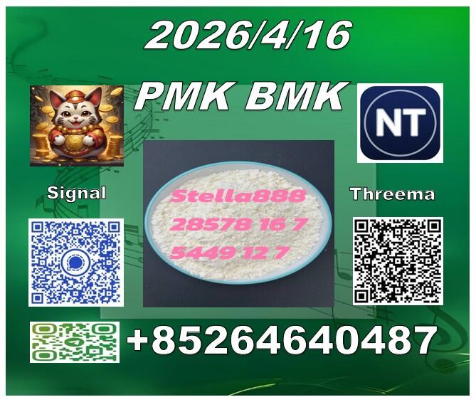 Cas 28578-16-7 PM.K and cas 5449-12-7 BM.K/49851-31-2/Seeking long-terms customers