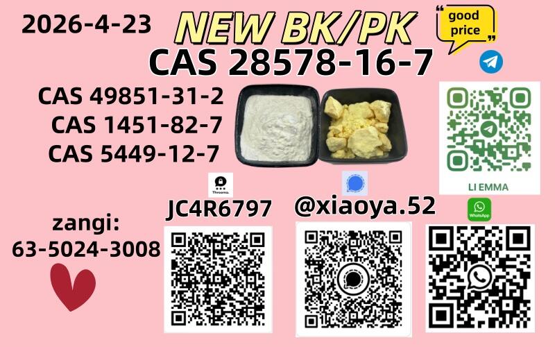 CAS: 28578-16-7，CAS: 49851-31-2,CAS: 5449-12-7,CAS: 1451-82-7New P.MK Powder/Oil