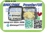 CAS: 28578-16-7，CAS: 49851-31-2,CAS: 5449-12-7,CAS: 1451-82-7New P.MK Powder/Oil