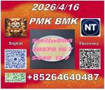 Express delivery CAS 28578-16-7PM.K and CAS 5449-12-7BM.K /49851-31-2