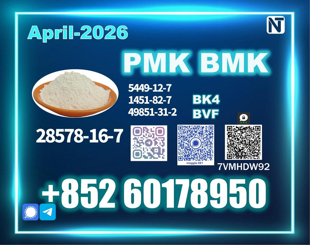 New PMK 28578-16-7 Supplier with Stable Output