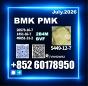 New BMK CAS 5449-12-7 Dependable logistics network