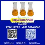 CAS 28578-16-7 supply with BMK CAS 5449-12-7 support