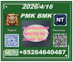 Fast shipping cas28578-16-7PM.K and BM.K cas5449-12-7/49851-31-2