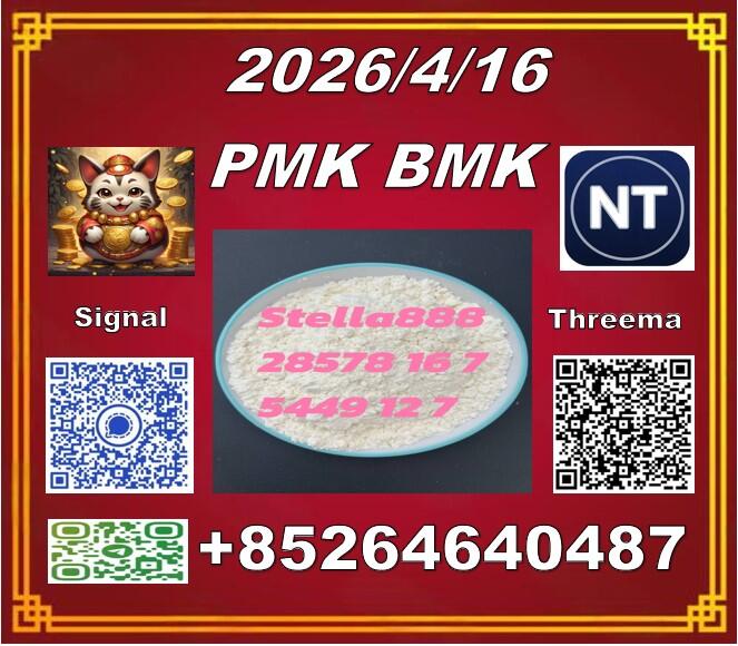 Hot selling PM.K cas28578-16-7 and BM.K cas5449-12-7/49851-31-2