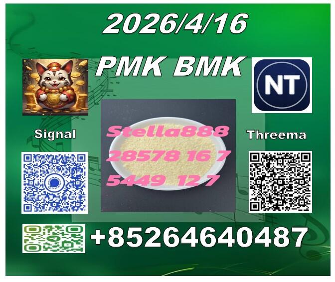 Bulk cas28578-16-7 P-MK and CAS5449-12-7 B-MK/ 49851-31-2