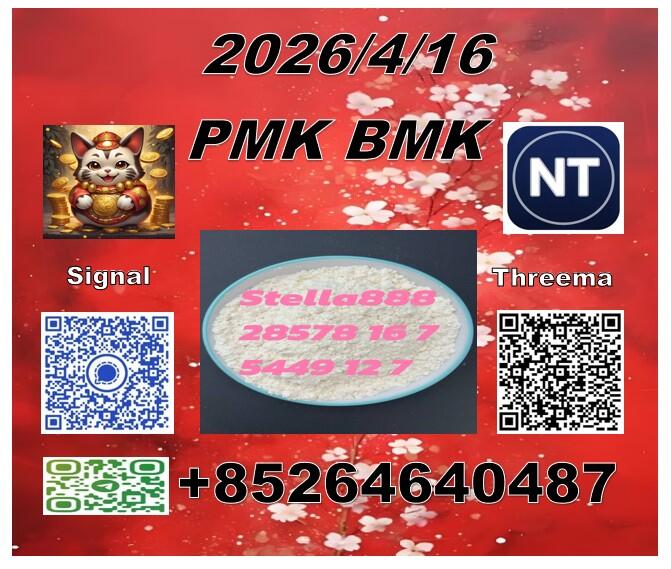 best service P.M.K 28578-16-7 and B.MK 5449-12-7/49851-31-2