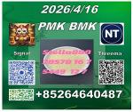 Bulk cas28578-16-7 P-MK and CAS5449-12-7 B-MK/ 49851-31-2