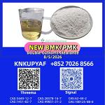 PMK CAS 28578-16-7 together with BMK CAS 5449-12-7