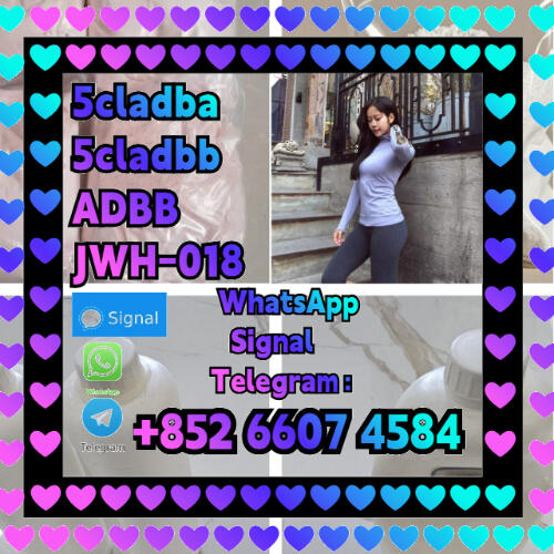 5cladba raw material 5CL-ADB-A precursor raw