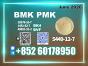 CAS 5449-12-7 New Bmk for Serious Buyers
