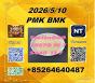 Supply from Stock Cas28578-16 -7 P.M.K and CAS5449-12-7 BM.K /49851-31-2