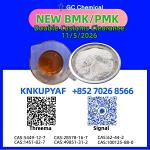 Worldwide support CAS 28578-16-7 PMK