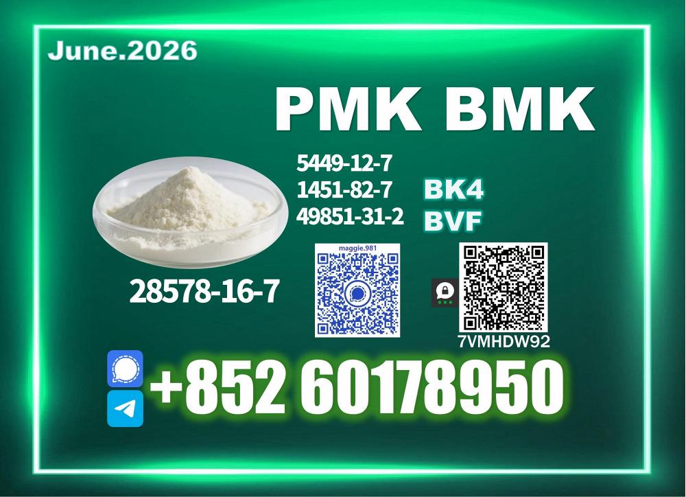 CAS 28578-16-7 New PM.K B.MK Strong reputation