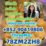 5CLADBA 5fadb Synthetic cannabinoid 5cladb-a adbb 5cl-adb-a - Раздел: Медицинские товары, фармацевтическая продукция