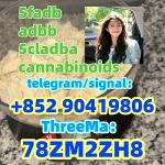 5CLADBA precursor powder 5cl-adb-a 5cladb adbb jwh018 - Раздел: Медицинские товары, фармацевтическая продукция